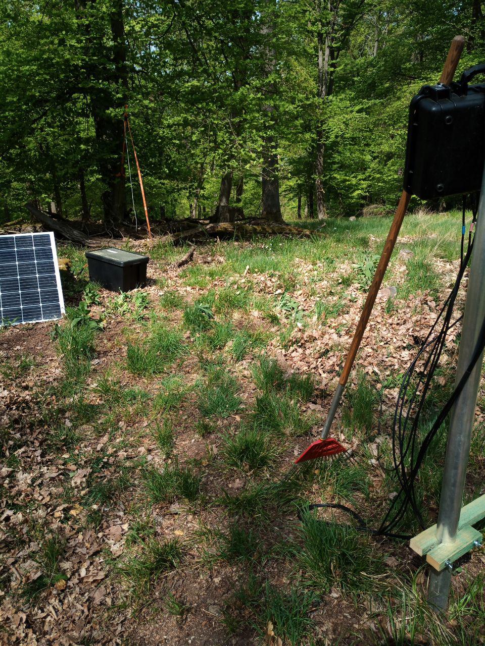 Cleaning box area and cable transects from organic material.