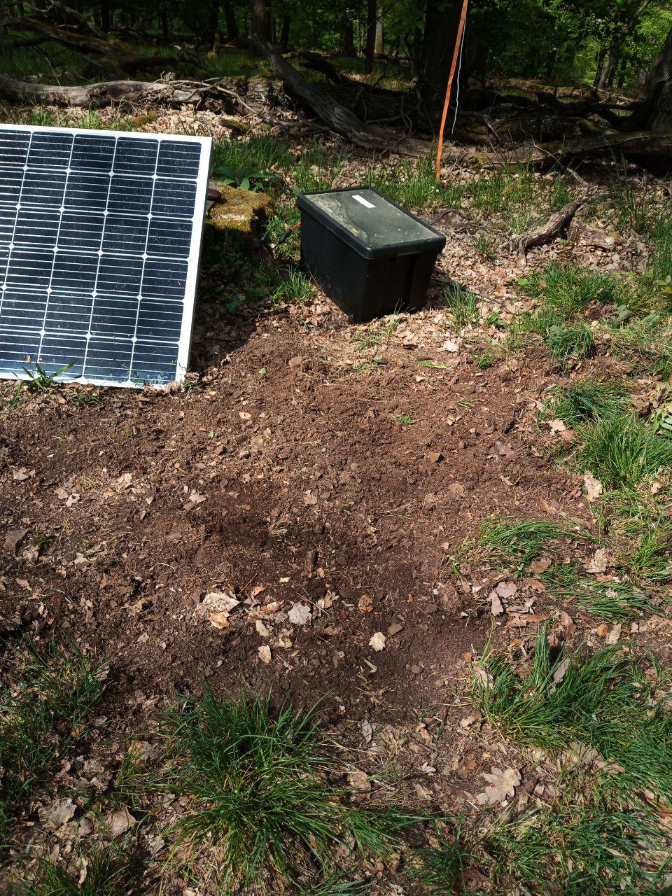 Clearing box area from vegetation and roots.