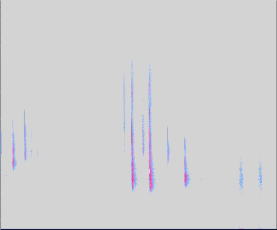 Spectrogram of a bat call recorded by BatRack