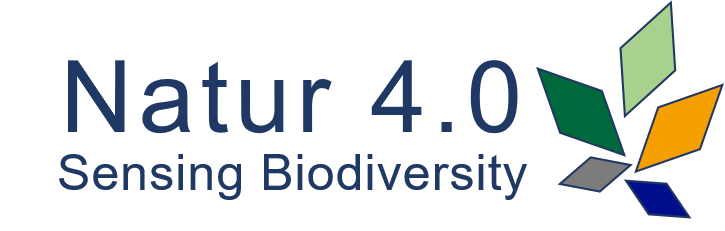 Nature 4.0  logo.